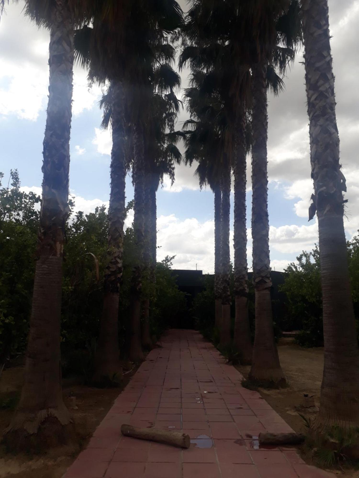 Maison d'hôtes Dar Khedija à El Kheriba Extérieur photo